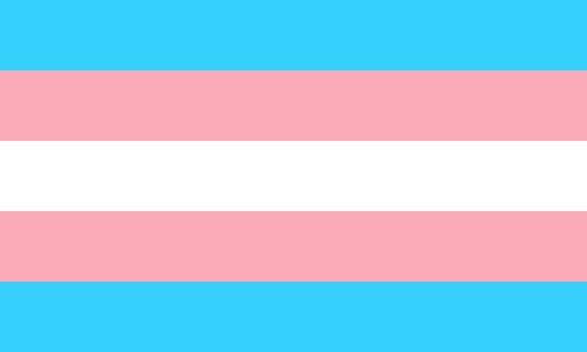 Transgender Day of Visibility 2024