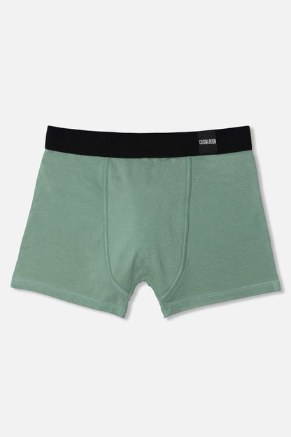 Green packing boxer briefs with a black waistband on a white background