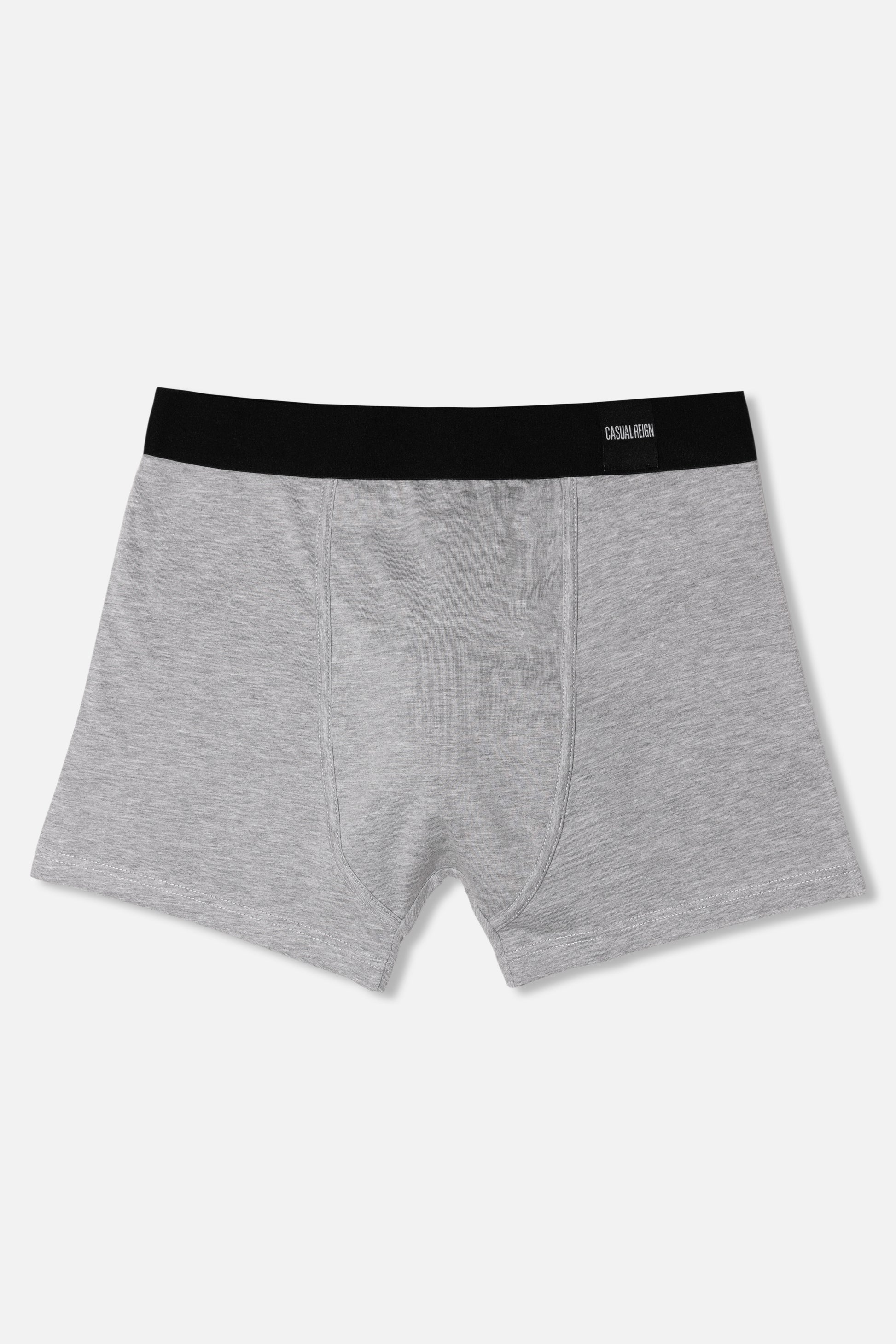 Grey packing boxer briefs with black waistband on a white background